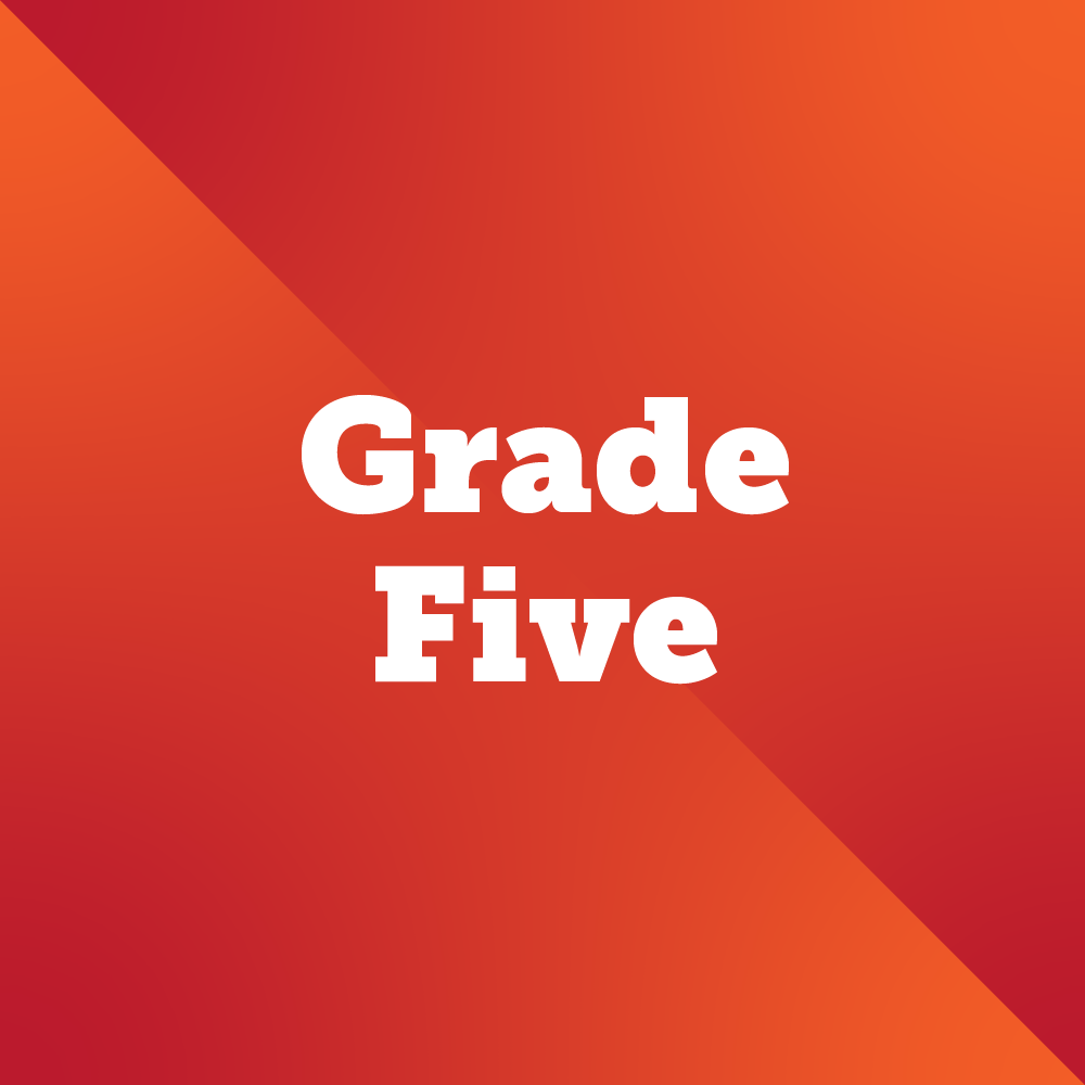 grade five button