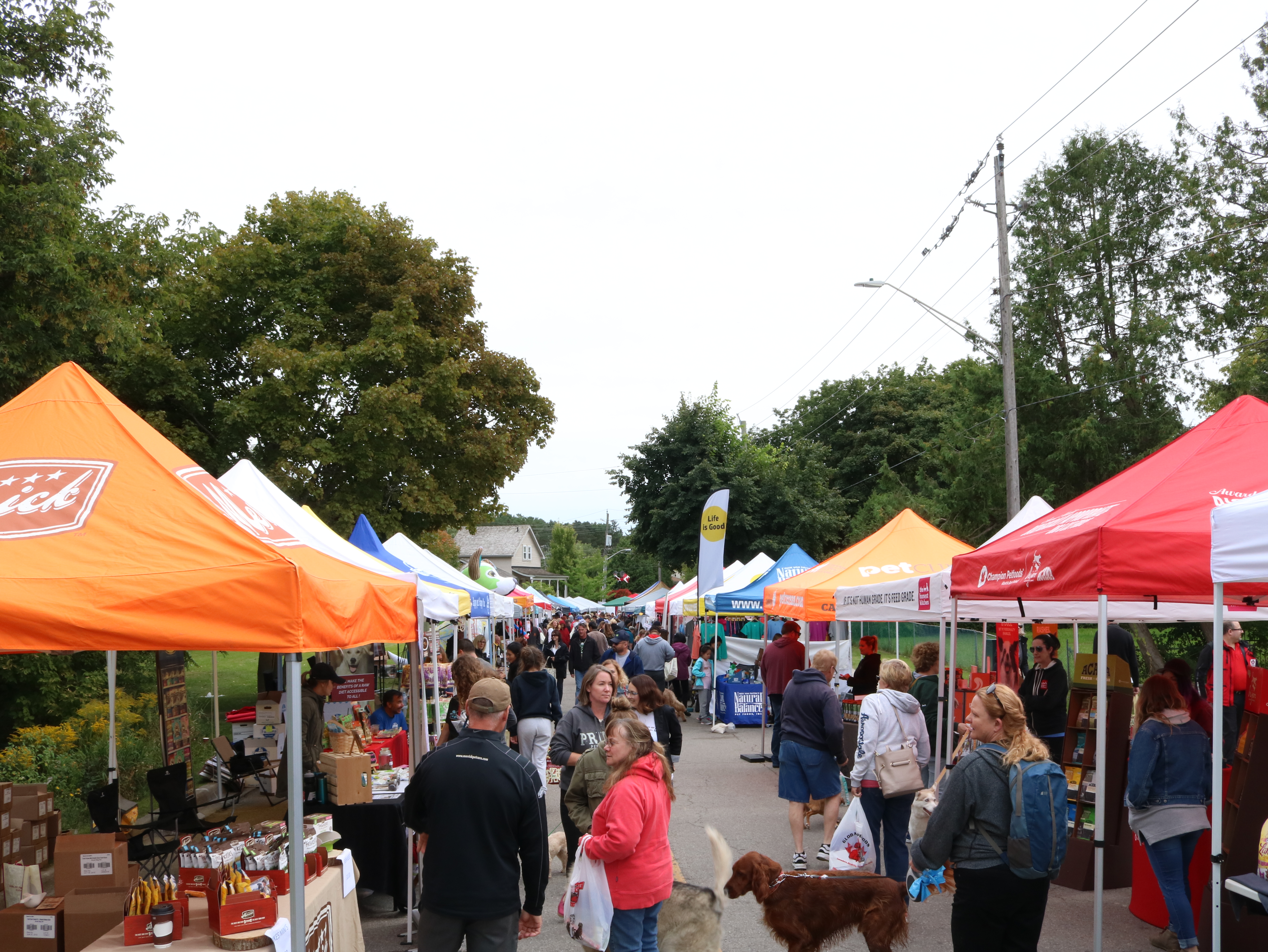 image of vendors at new'bark'et